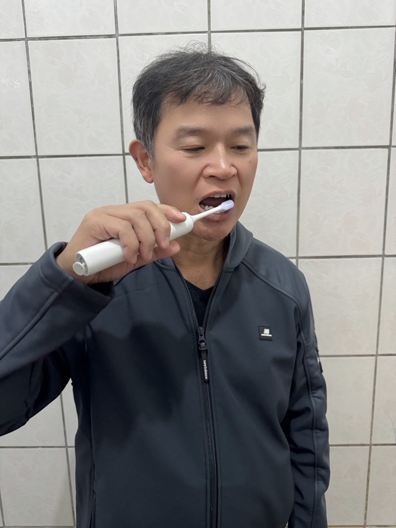 試用